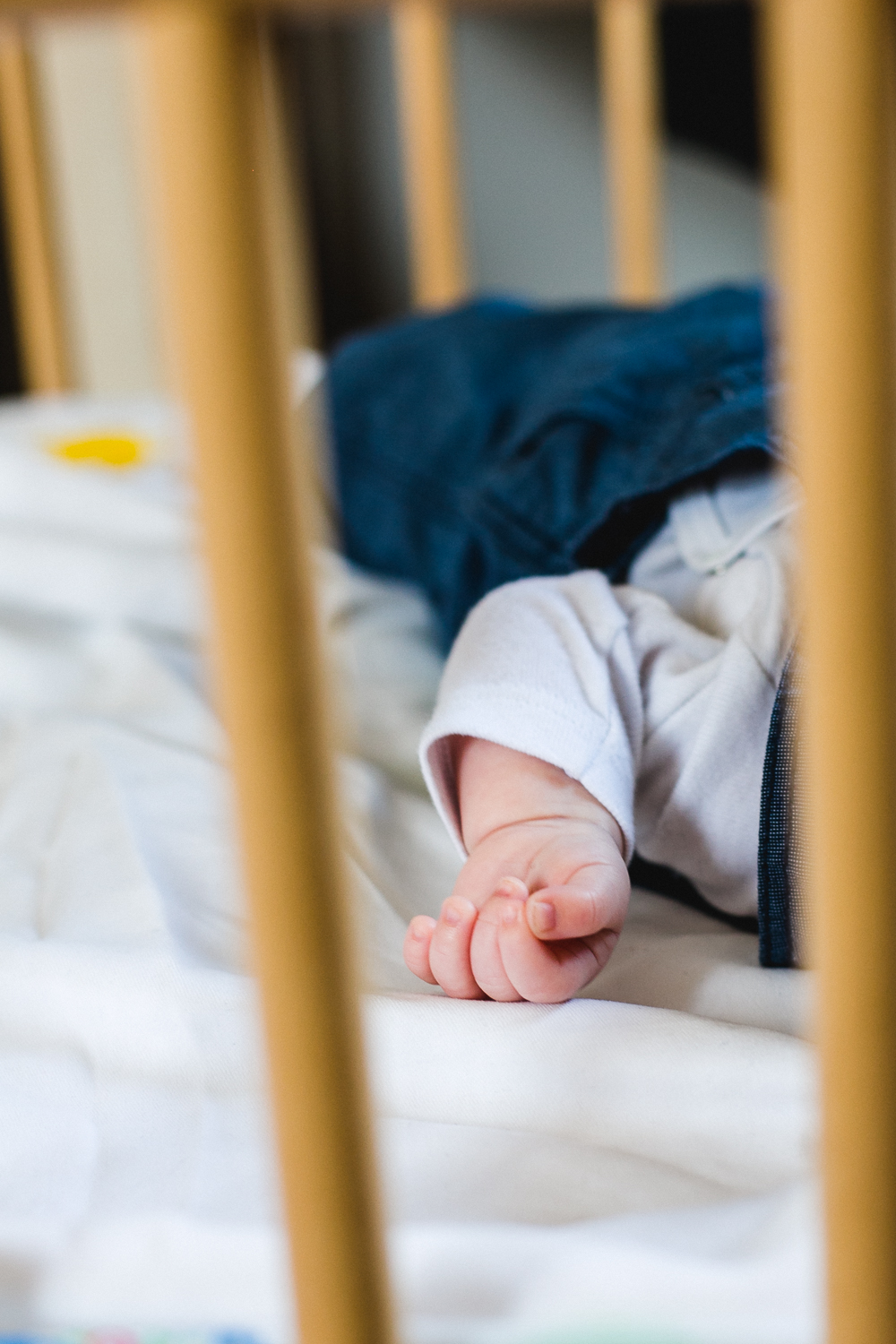 Familienbilder_Baby_Fotos_Dresden