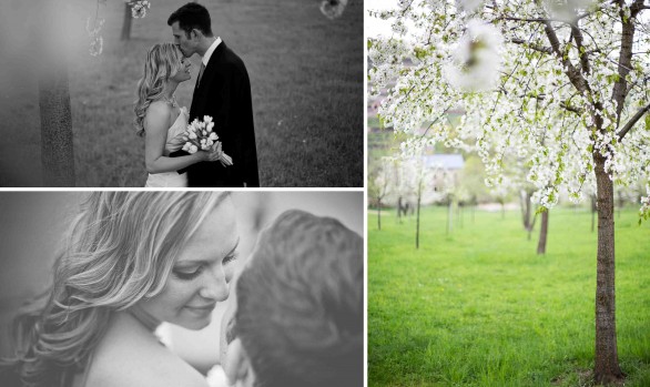 Hochzeit Schloß Wackerbarth Fotograf Dresden