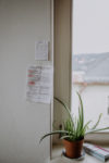 Hochzeitsreportage_Dresden_SusannStaedterFotografie