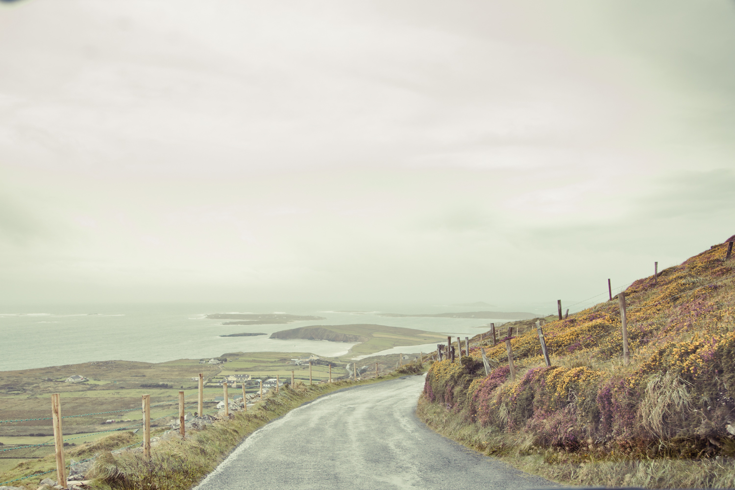 Irland_Fotograf_SusannStaedter-1-48